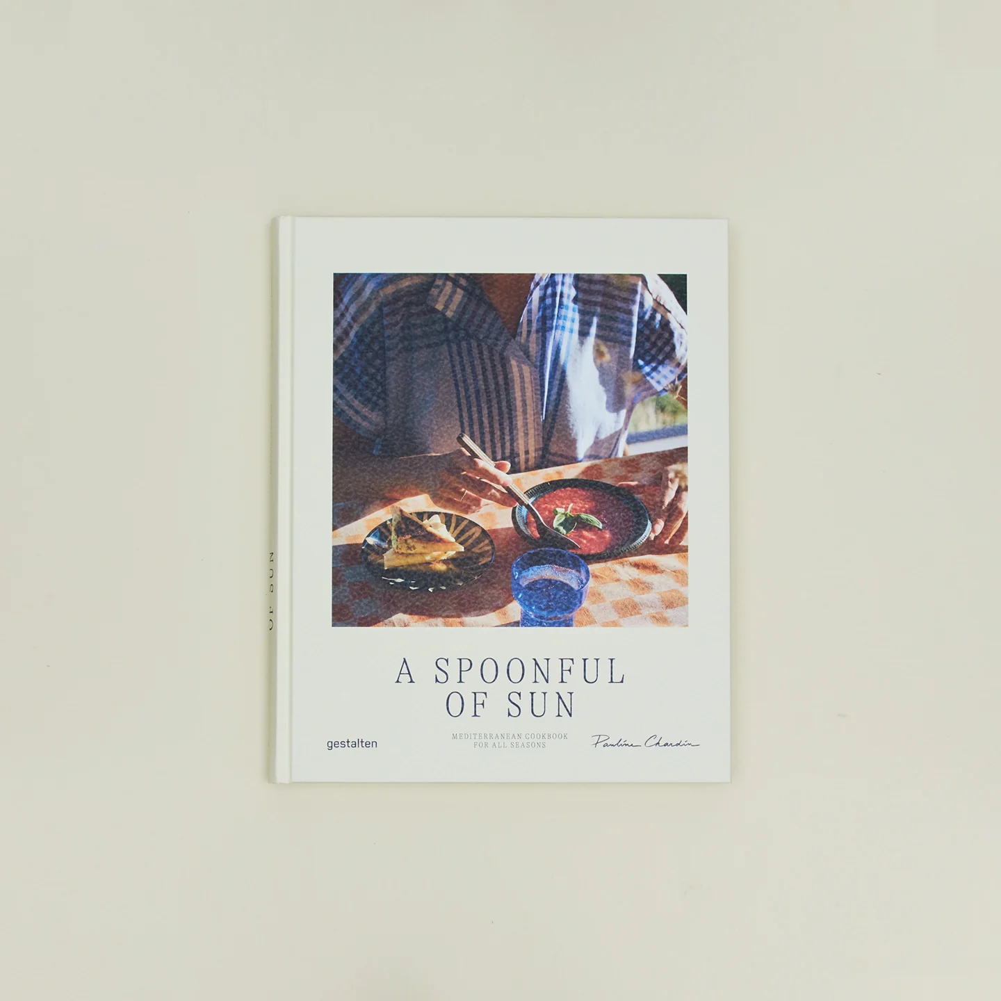 A Spoonful of Sun Book