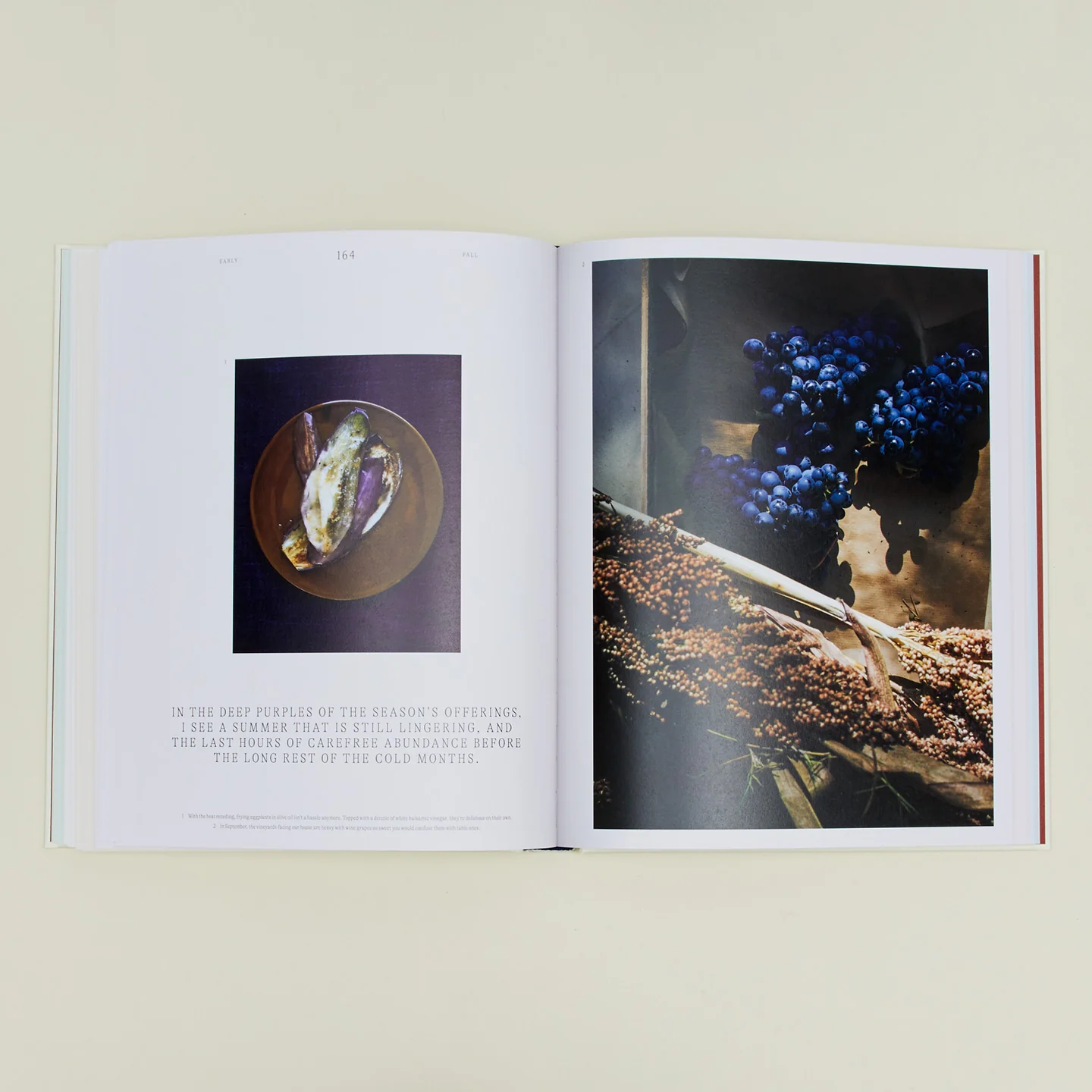 A Spoonful of Sun Book - Image 2