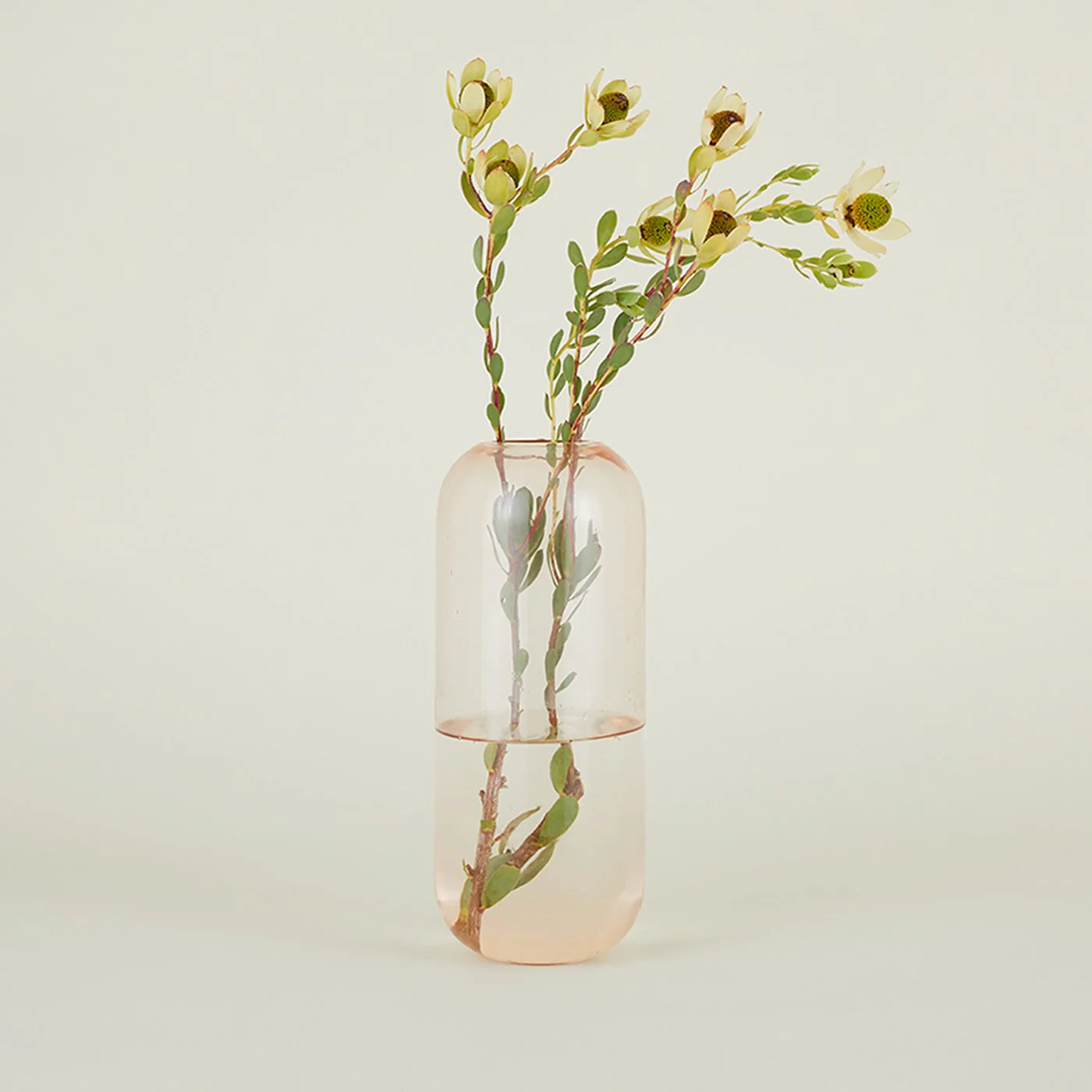 Aurora Pill Vase - Blush - Image 3
