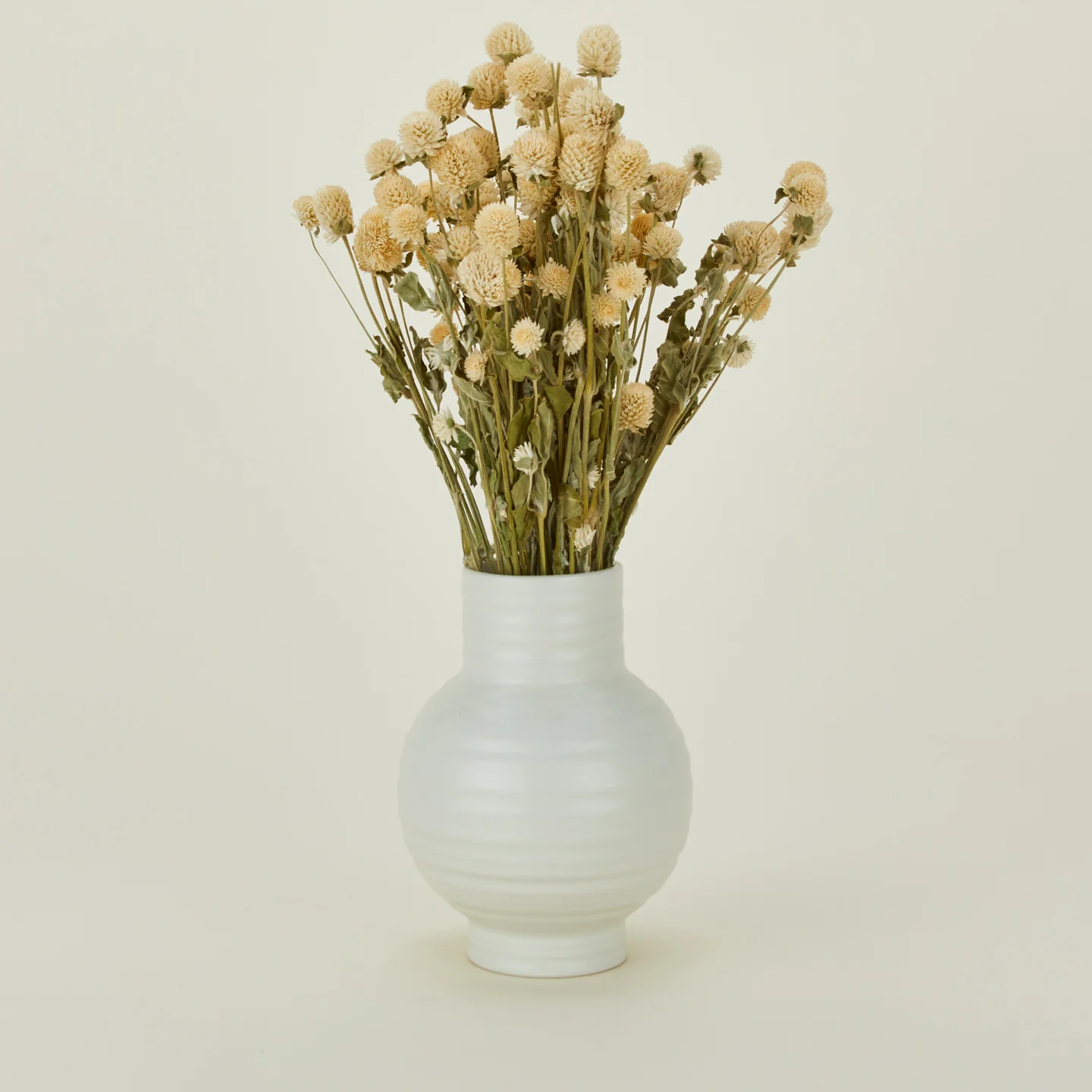 Dried Amaranth - Image 2