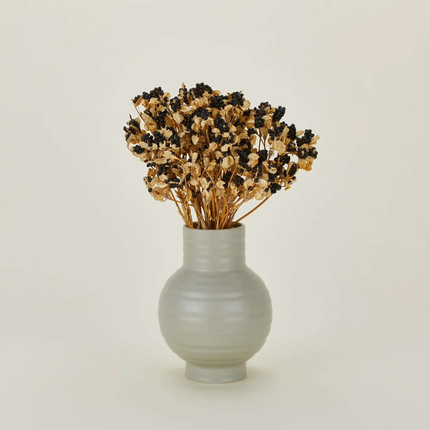 Dried Blackberry Lilies - Image 2