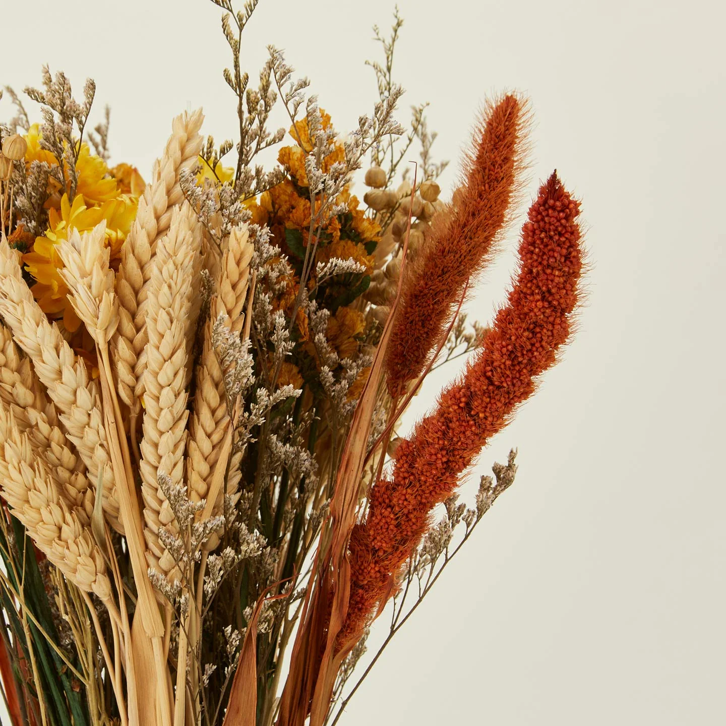 Dried Floral Bouquet - Golden Hour - Image 3