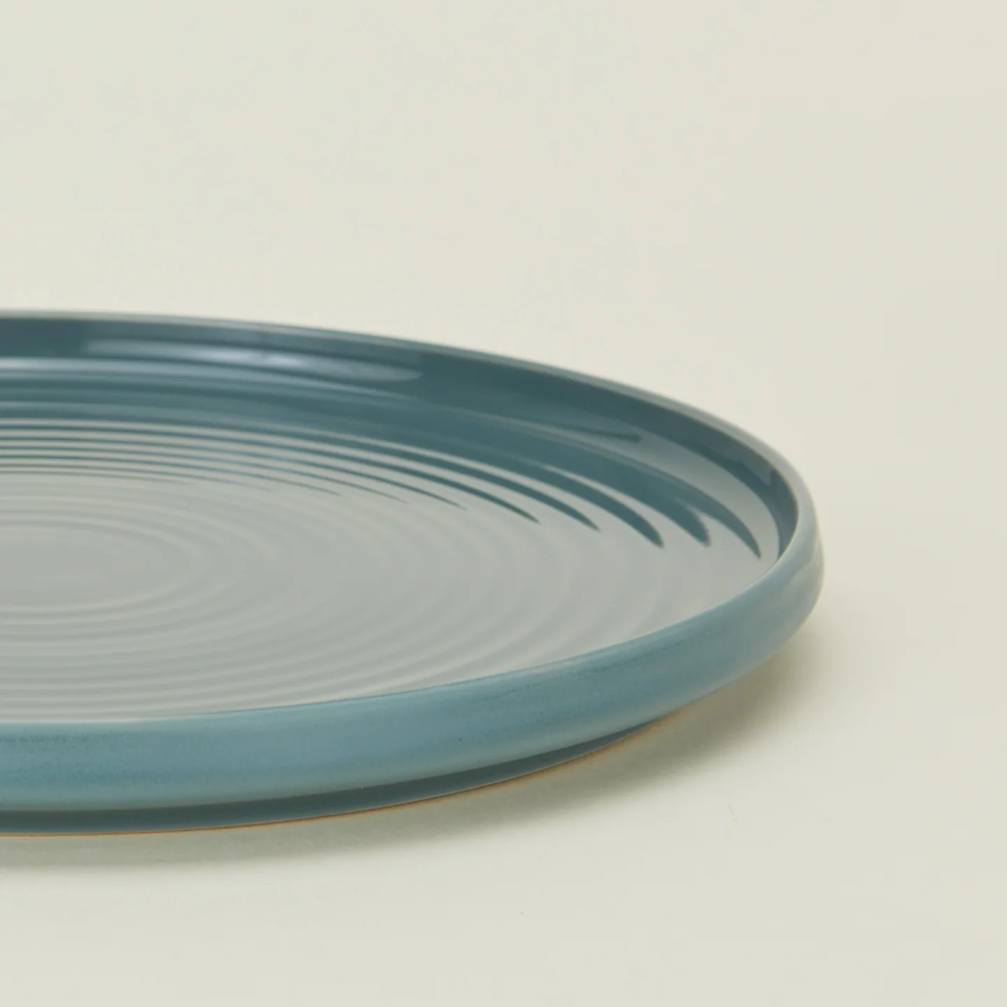 Essential Dinner Plate, Set of 4 - Peacock - Image 3