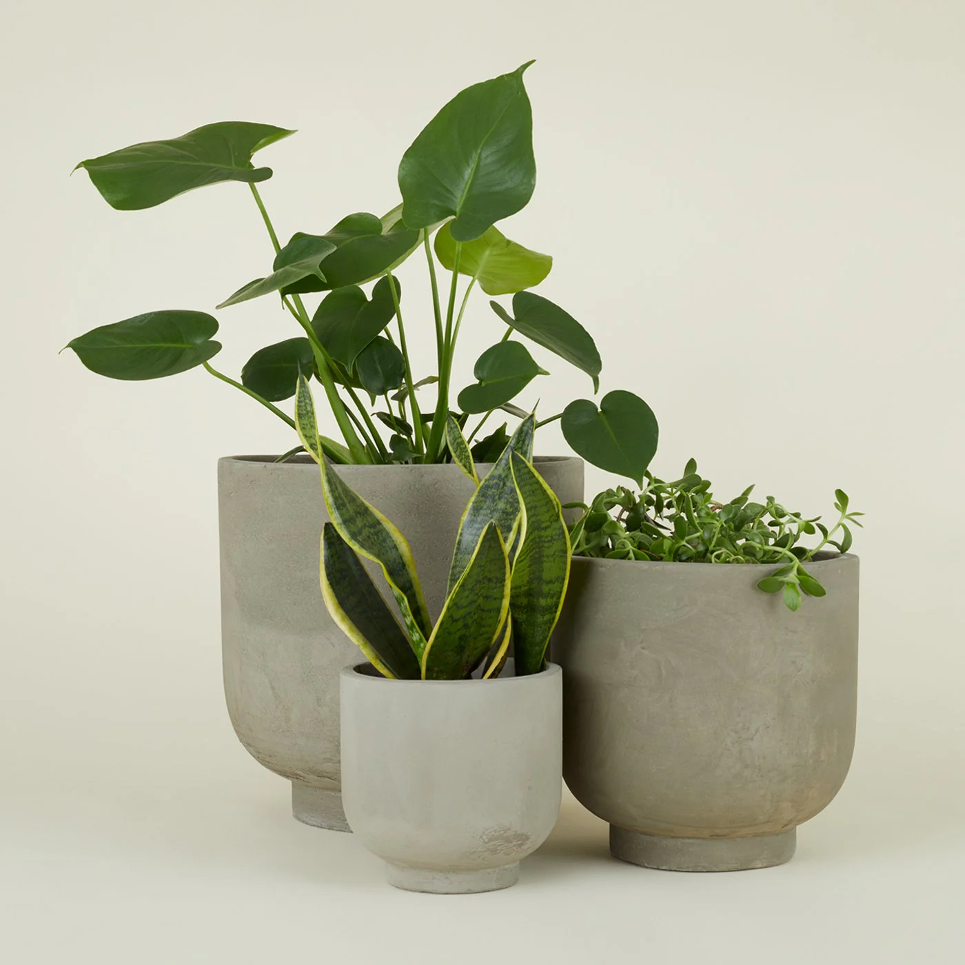 Footed Planter - Fiber Cement - Image 2