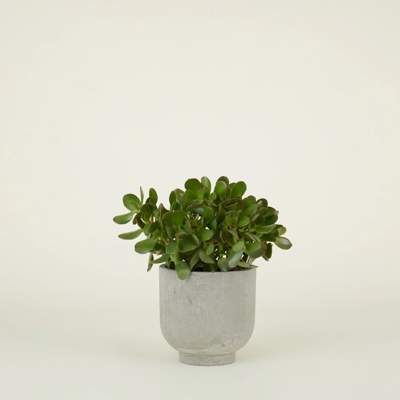 Footed Planter - Fiber Cement - Image 6