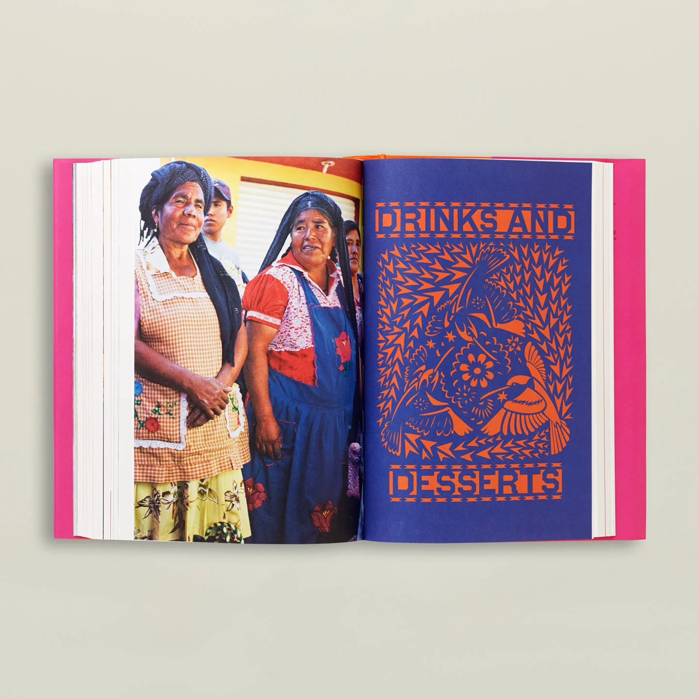 Mexico the Cookbook - Image 3