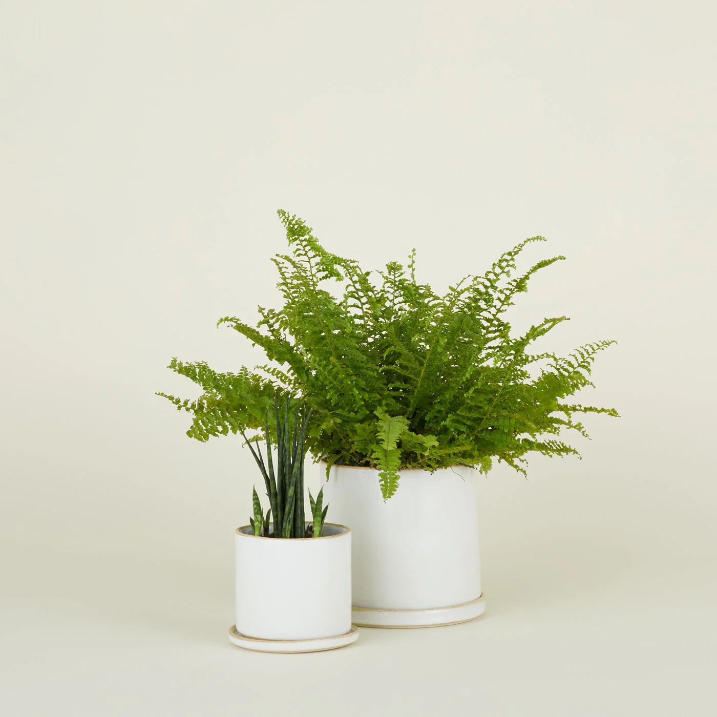 Minimal Planter - Image 6