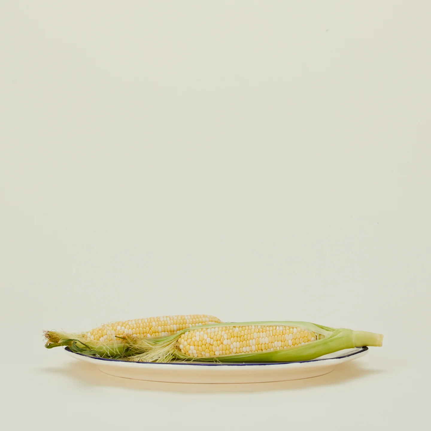 Ogee Edge Oval Platter - Blue - Image 3