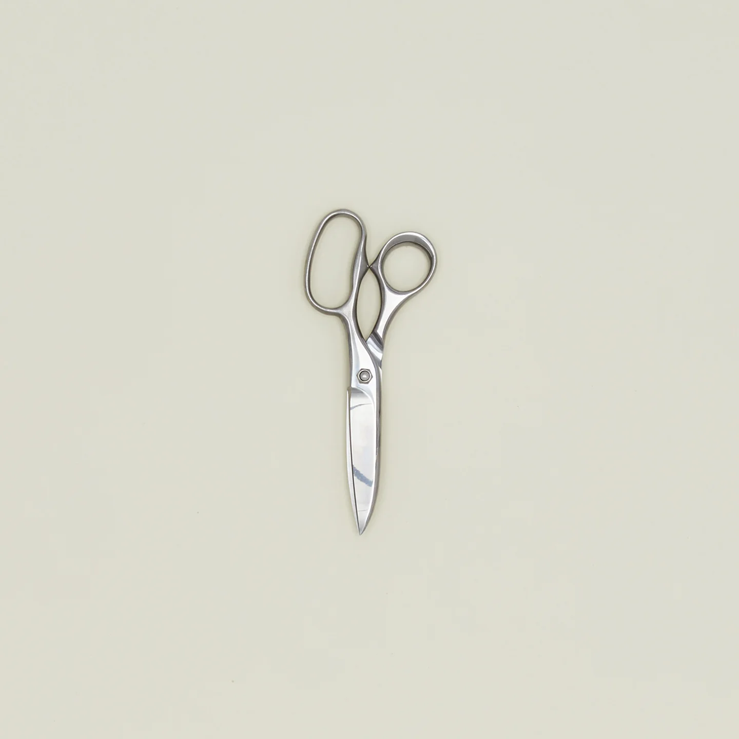 Professional Kitchen Scissors