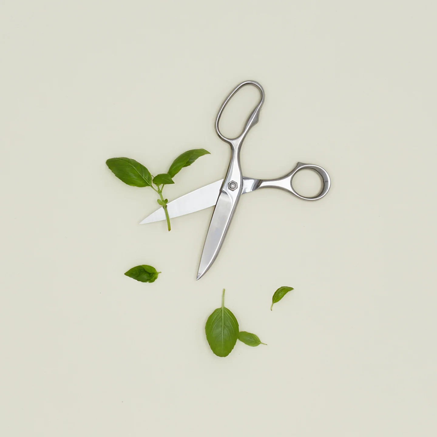 Professional Kitchen Scissors - Image 2