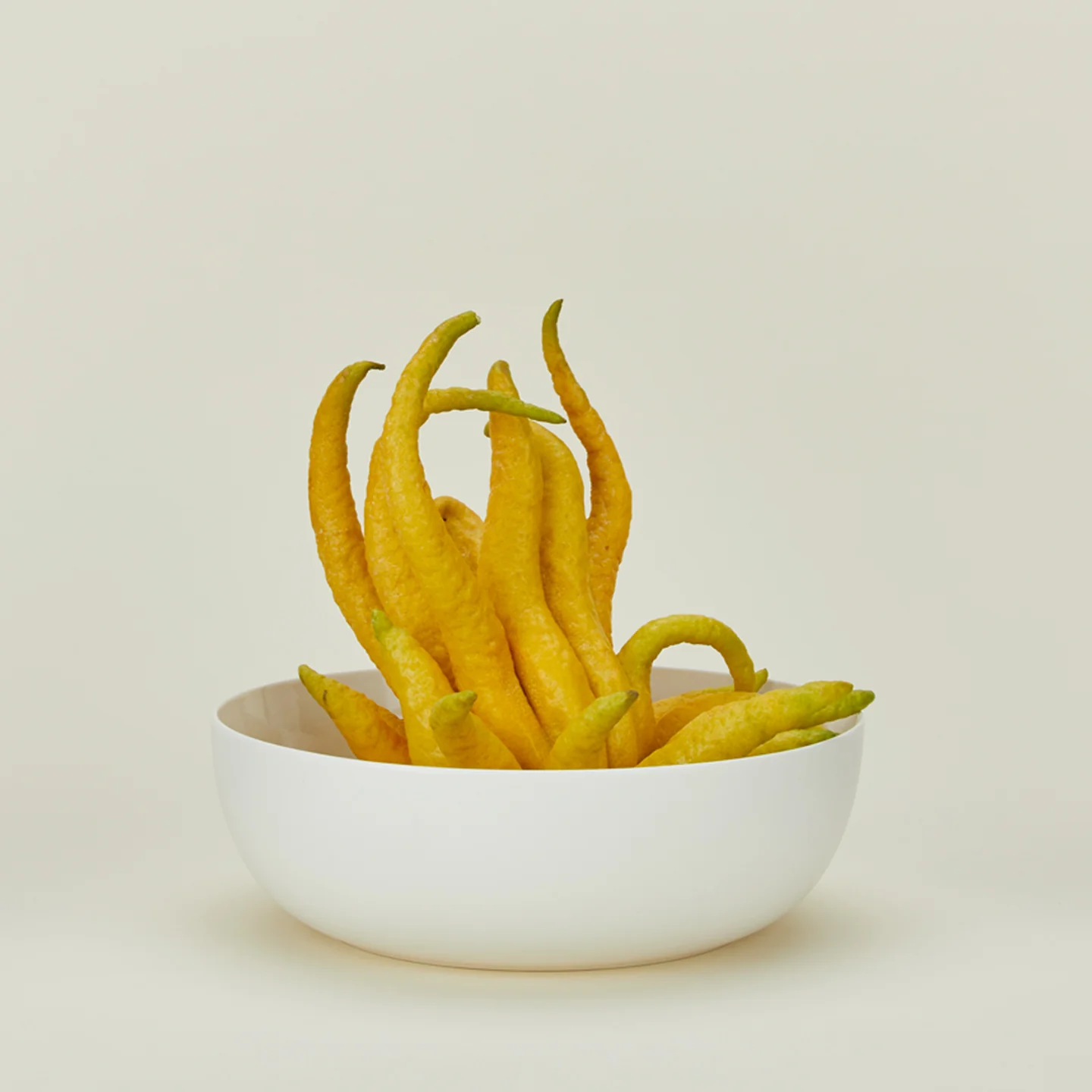 Simple Porcelain Serving Bowl - Image 2