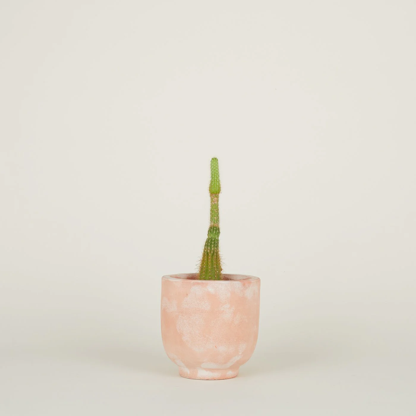 Footed Planter - Terracotta - Image 6