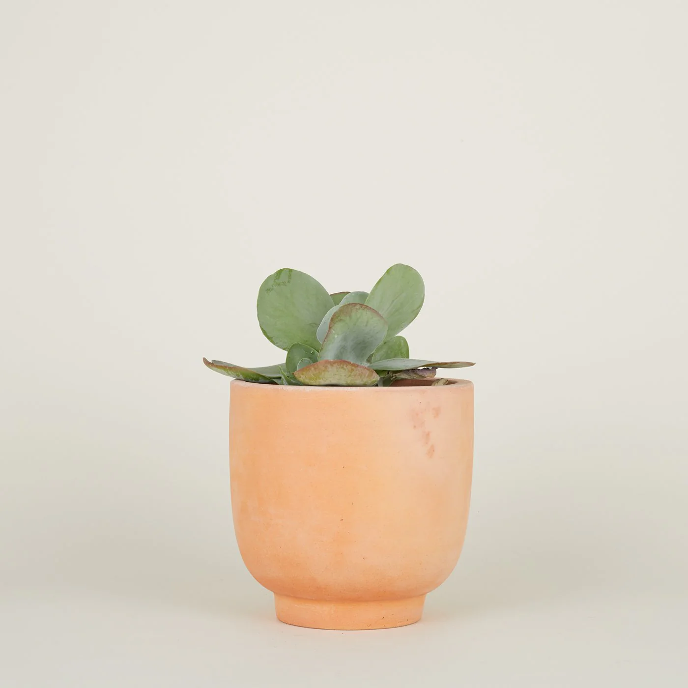 Footed Planter - Terracotta - Image 7