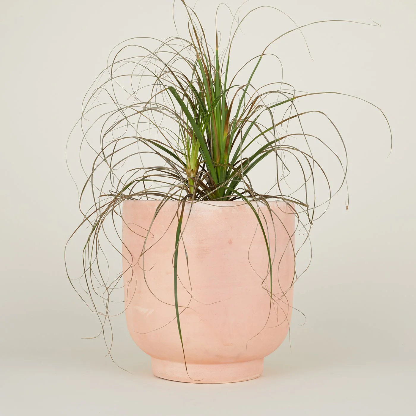 Footed Planter - Terracotta - Image 8