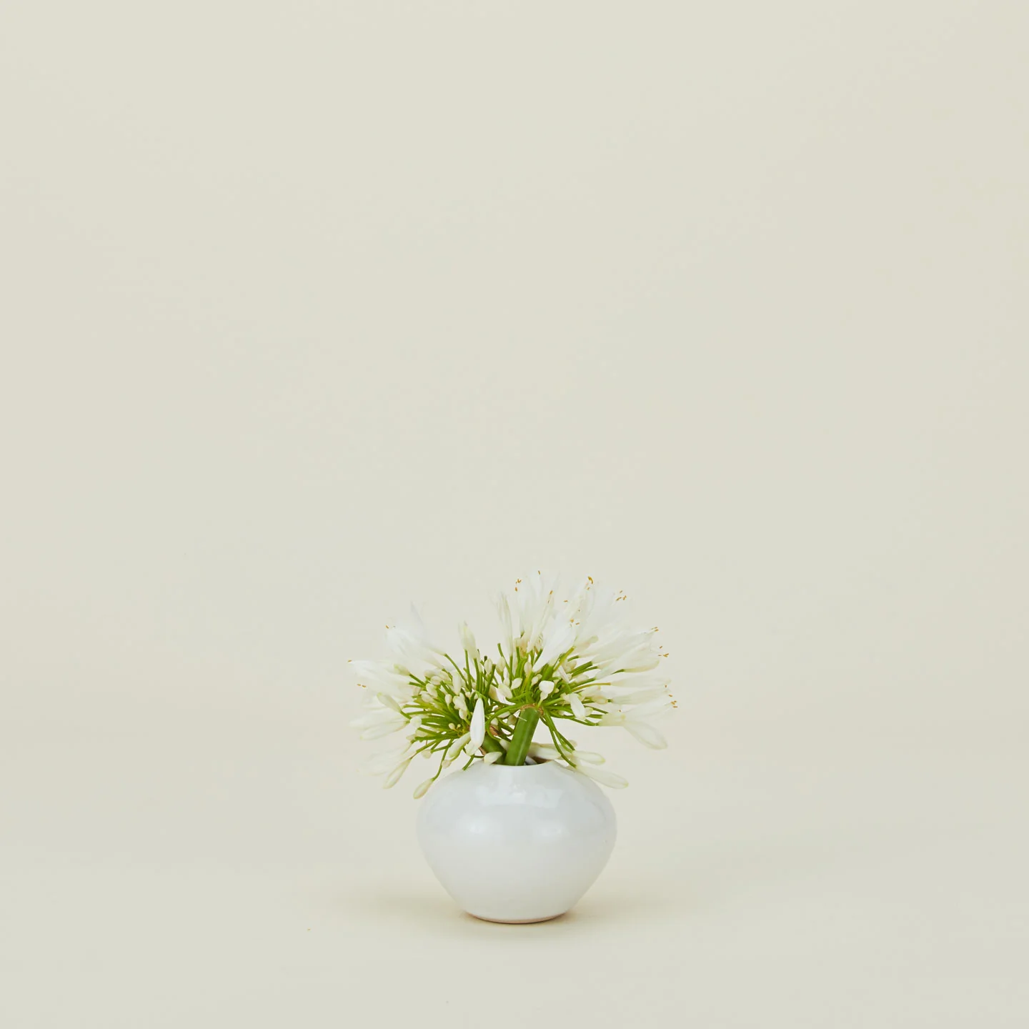 Verdure Vase - White - Image 3