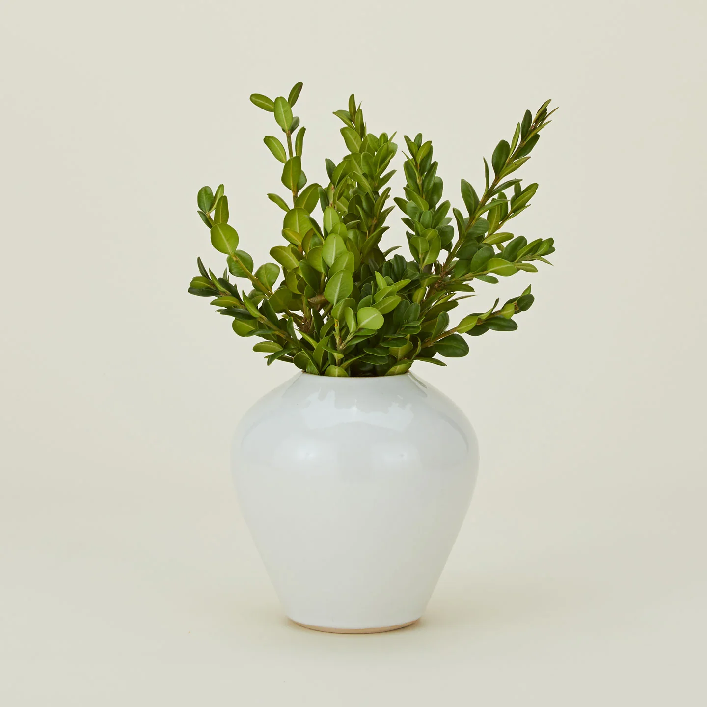 Verdure Vase - White - Image 5